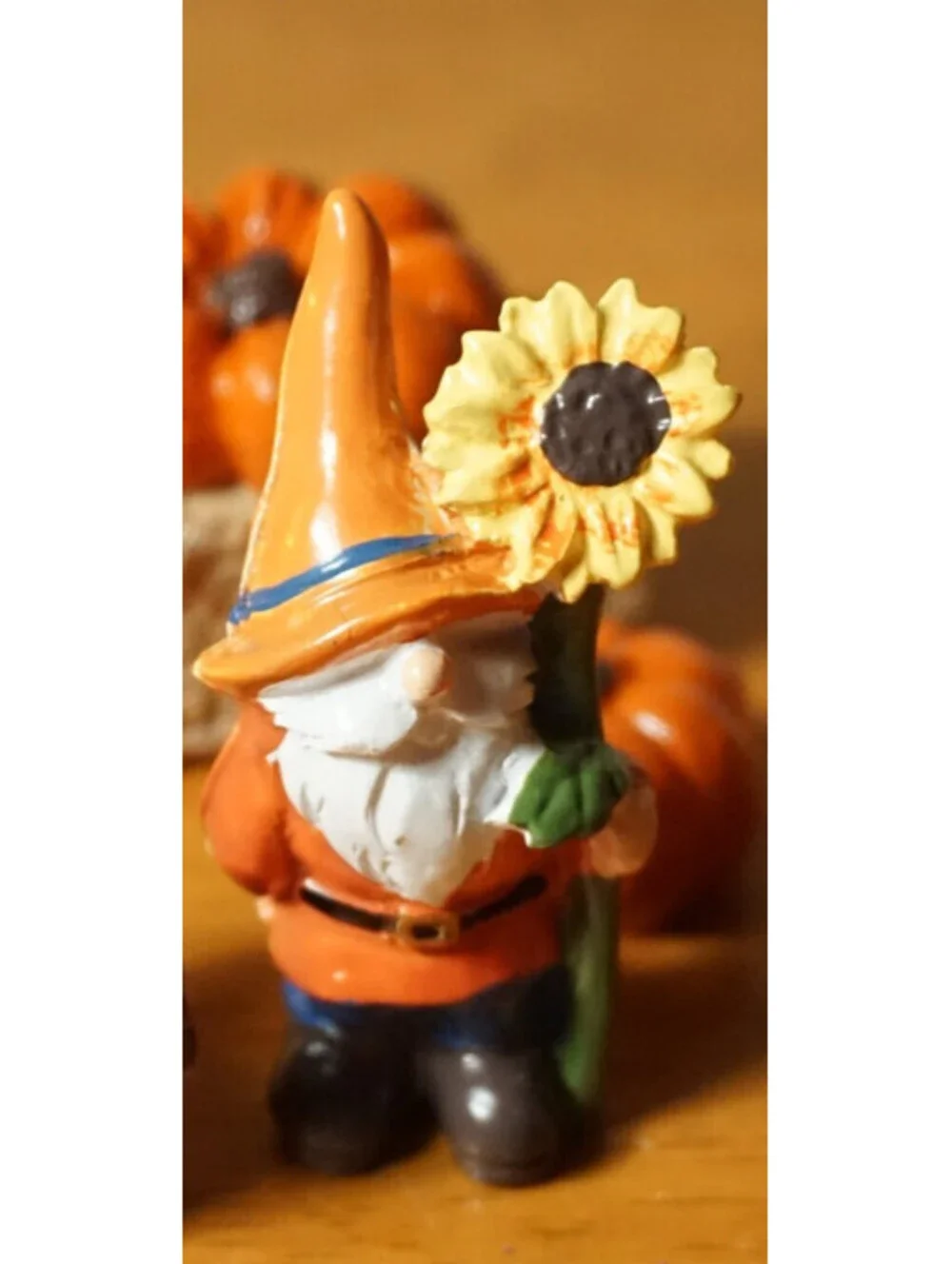 13 Fall Gnome Pumpkins Halloween Village House Farm Garden Accessories Decor NEW
